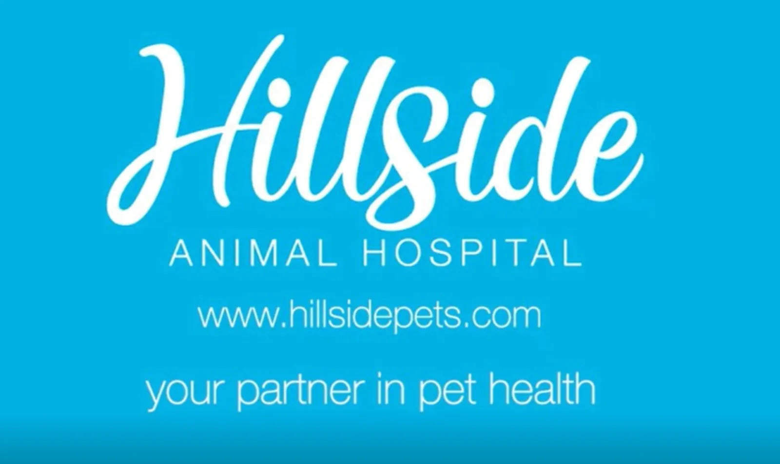 Hillside Animal Hospital. Your partner in pet health. 